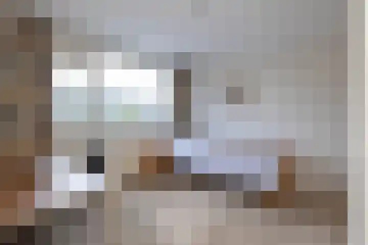 Aart van der Leeuwstraat 11 Hengelo thumbnail 18
