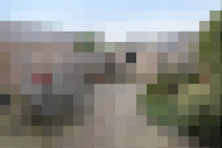 Aart van der Leeuwstraat 11 Hengelo thumbnail 24