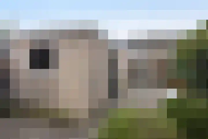 Aart van der Leeuwstraat 11 Hengelo thumbnail 26