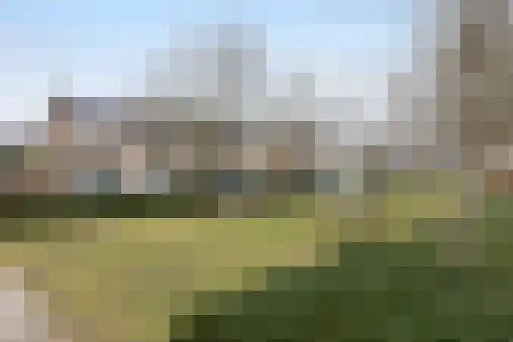 Aart van der Leeuwstraat 11 Hengelo thumbnail 32