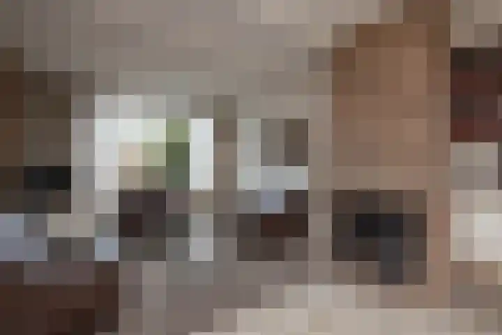 Aart van der Leeuwstraat 11 Hengelo thumbnail 4