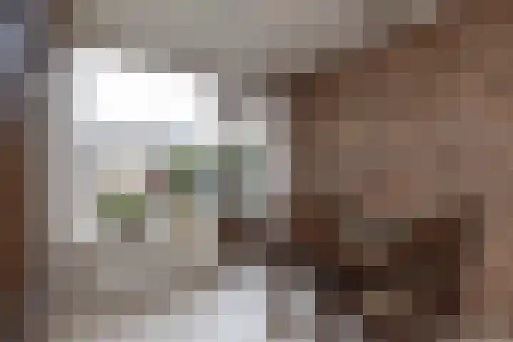 Aart van der Leeuwstraat 11 Hengelo thumbnail 6