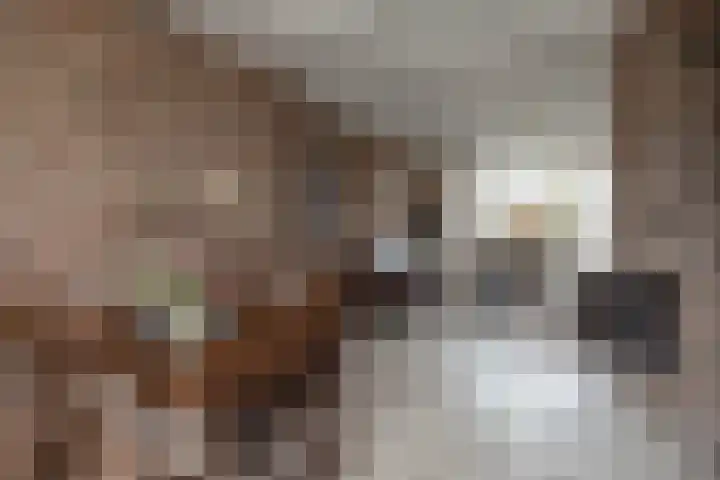 Aart van der Leeuwstraat 11 Hengelo thumbnail 8