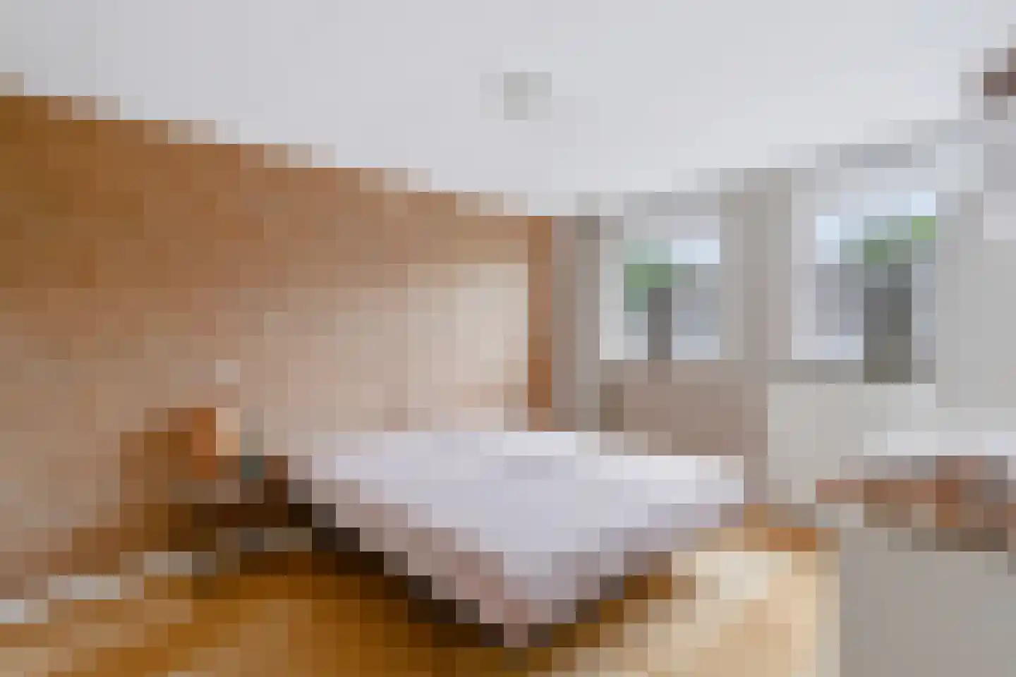 Aart van der Leeuwstraat 14 Hengelo thumbnail 10