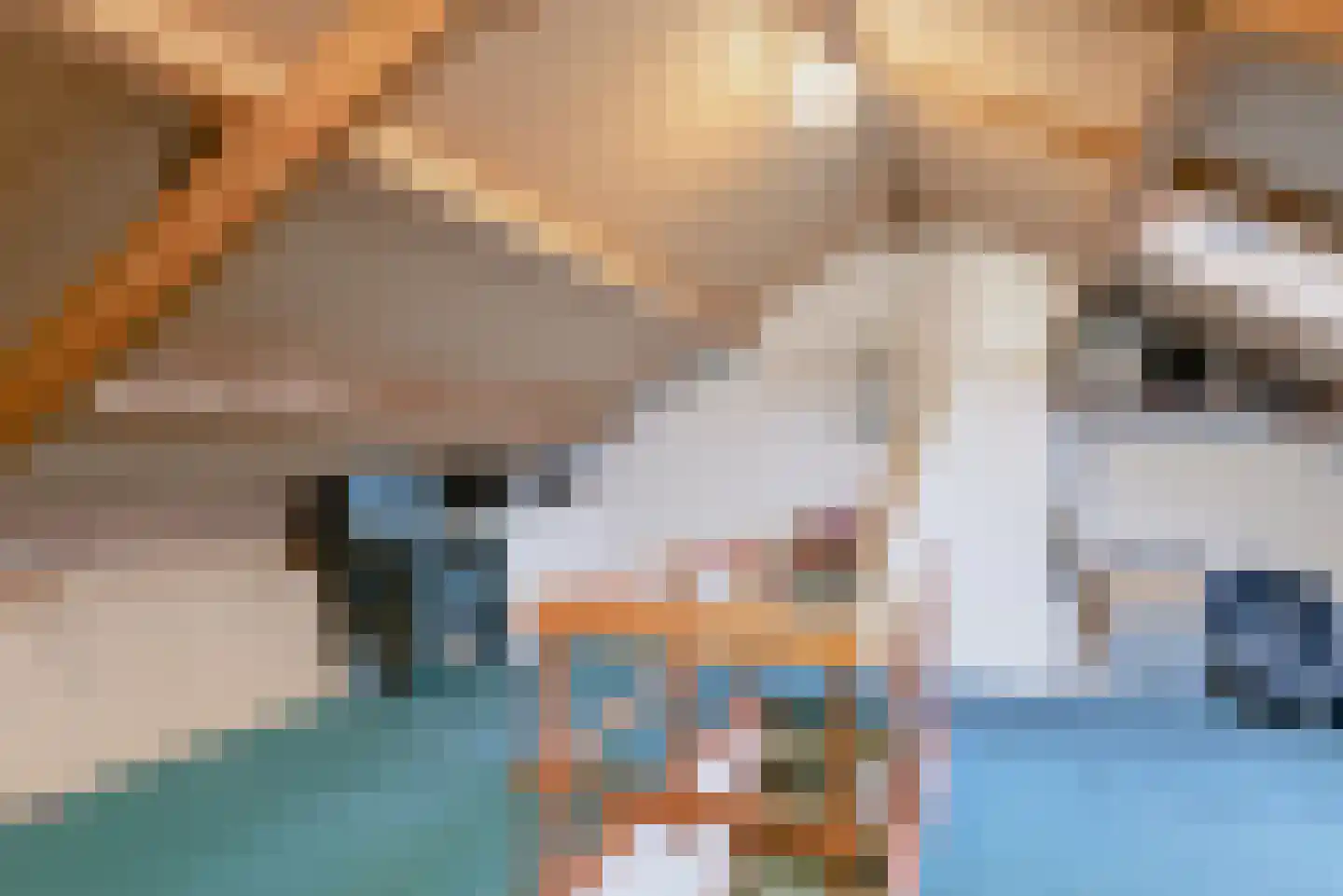 Aart van der Leeuwstraat 14 Hengelo thumbnail 13