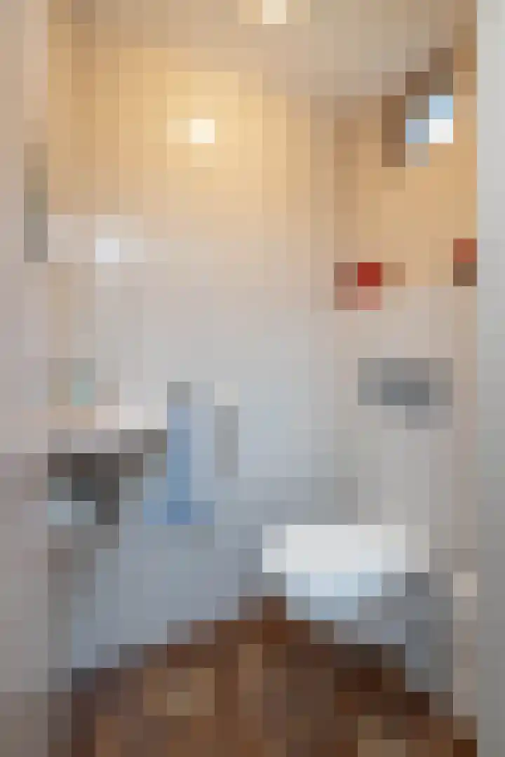 Aart van der Leeuwstraat 14 Hengelo thumbnail 15