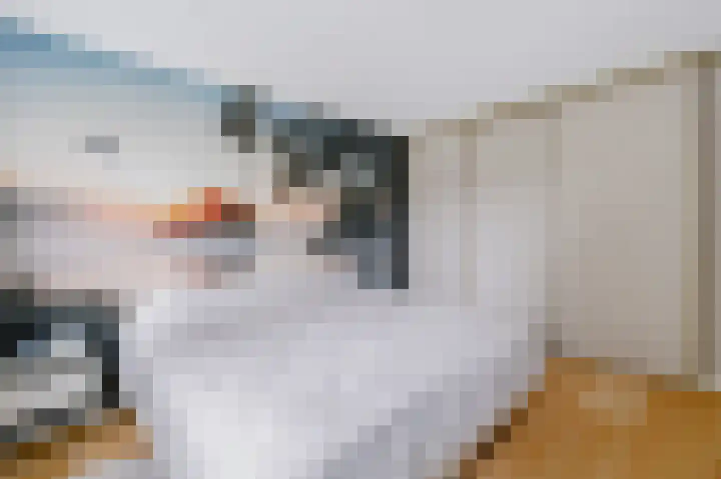 Aart van der Leeuwstraat 14 Hengelo thumbnail 16