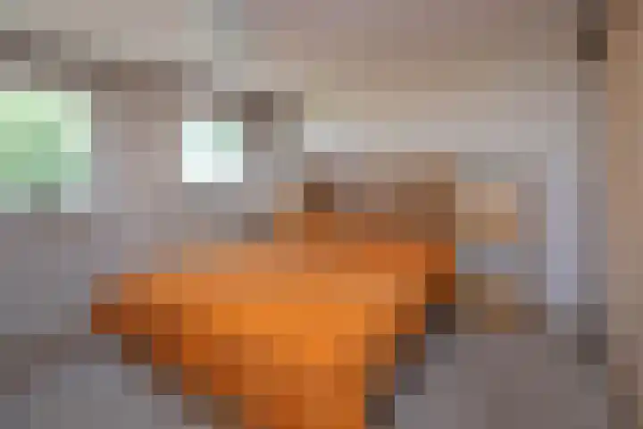 Aart van der Leeuwstraat 14 Hengelo thumbnail 16