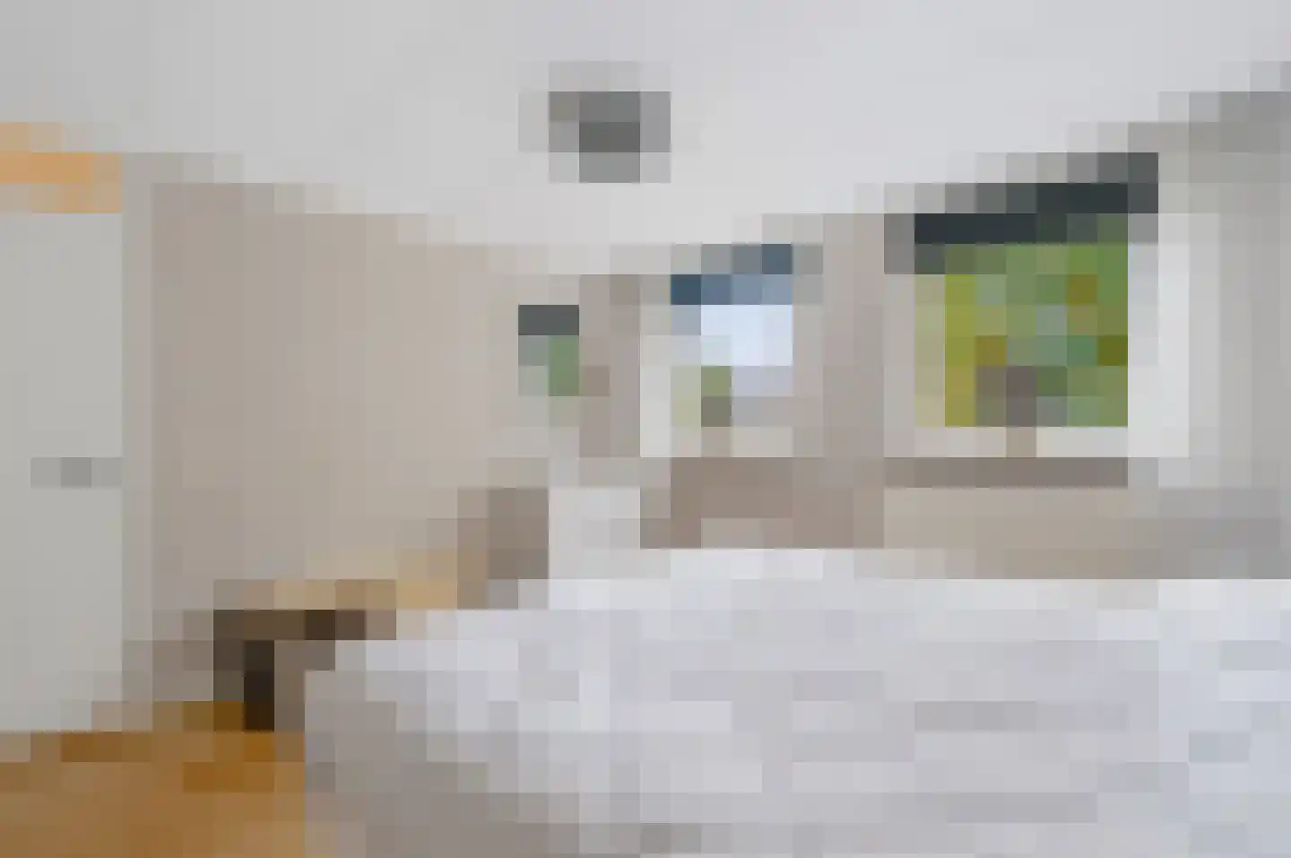 Aart van der Leeuwstraat 14 Hengelo thumbnail 17