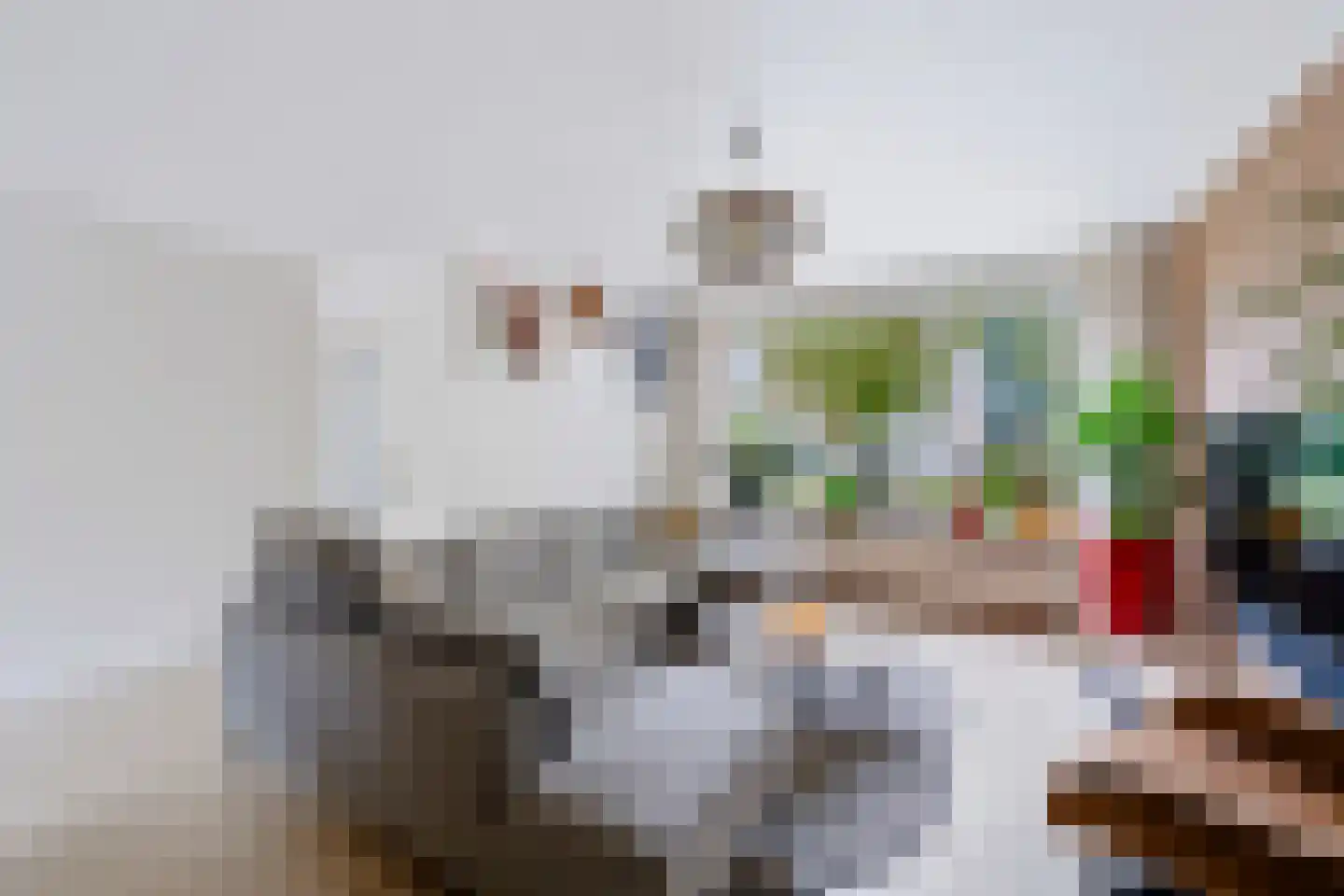 Aart van der Leeuwstraat 14 Hengelo thumbnail 19