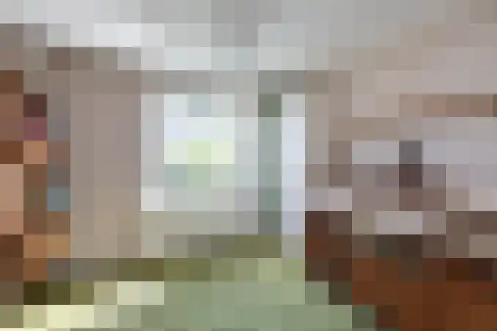 Aart van der Leeuwstraat 14 Hengelo thumbnail 19