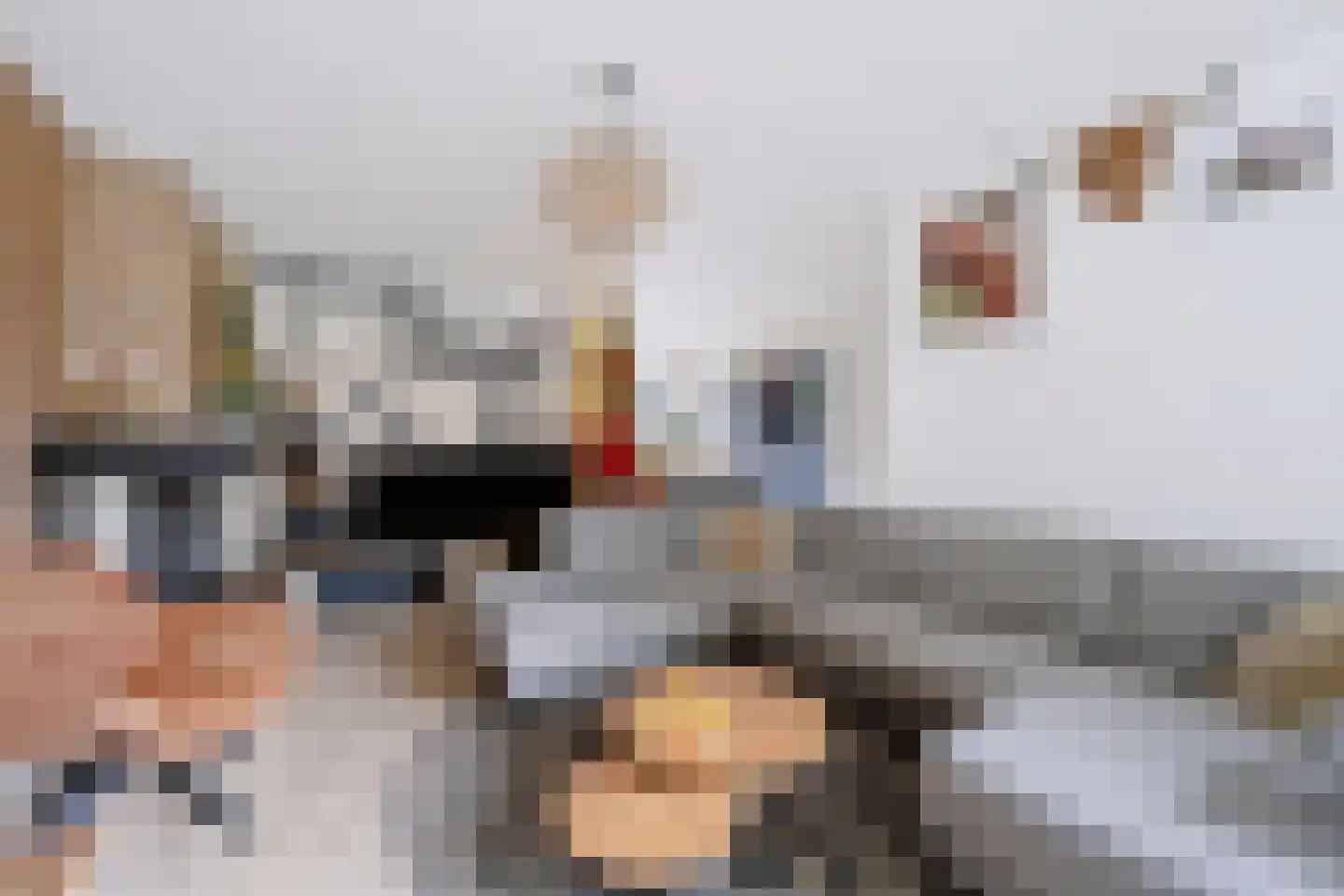 Aart van der Leeuwstraat 14 Hengelo thumbnail 20