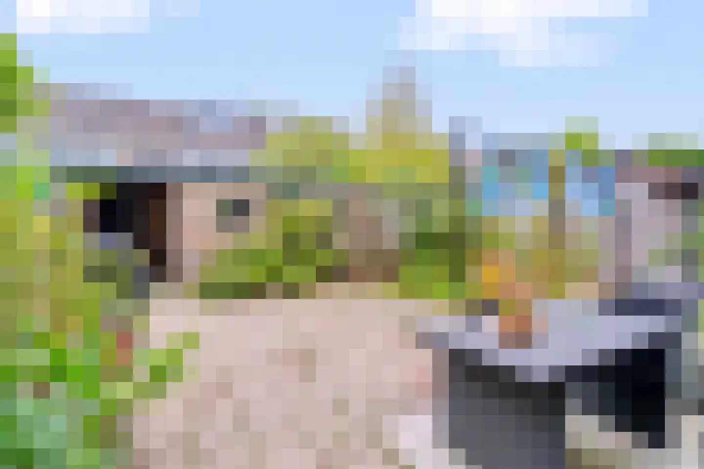 Aart van der Leeuwstraat 14 Hengelo thumbnail 25
