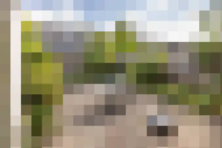 Aart van der Leeuwstraat 14 Hengelo thumbnail 25