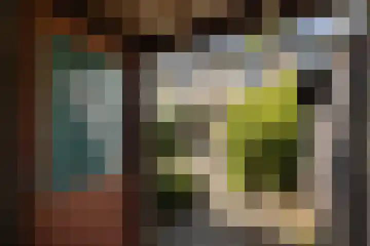 Aart van der Leeuwstraat 14 Hengelo thumbnail 28