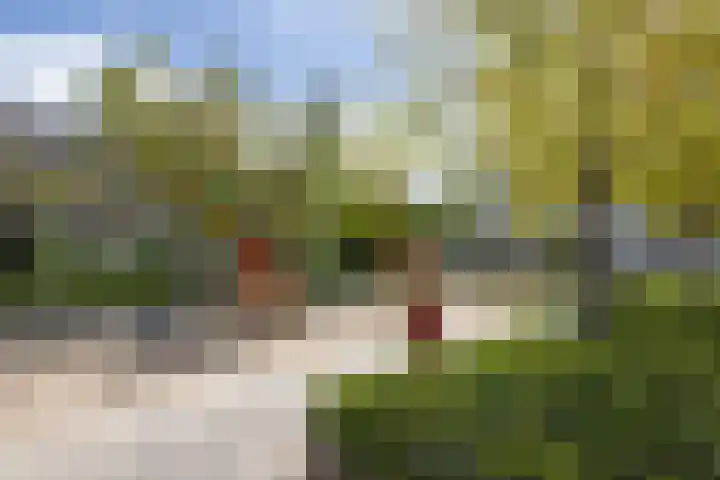 Aart van der Leeuwstraat 14 Hengelo thumbnail 31