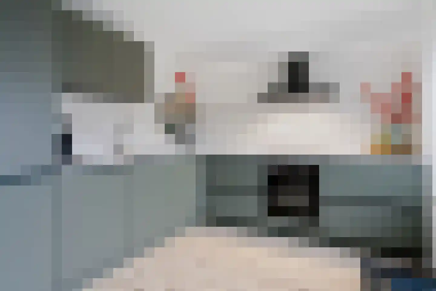 Aart van der Leeuwstraat 14 Hengelo thumbnail 6