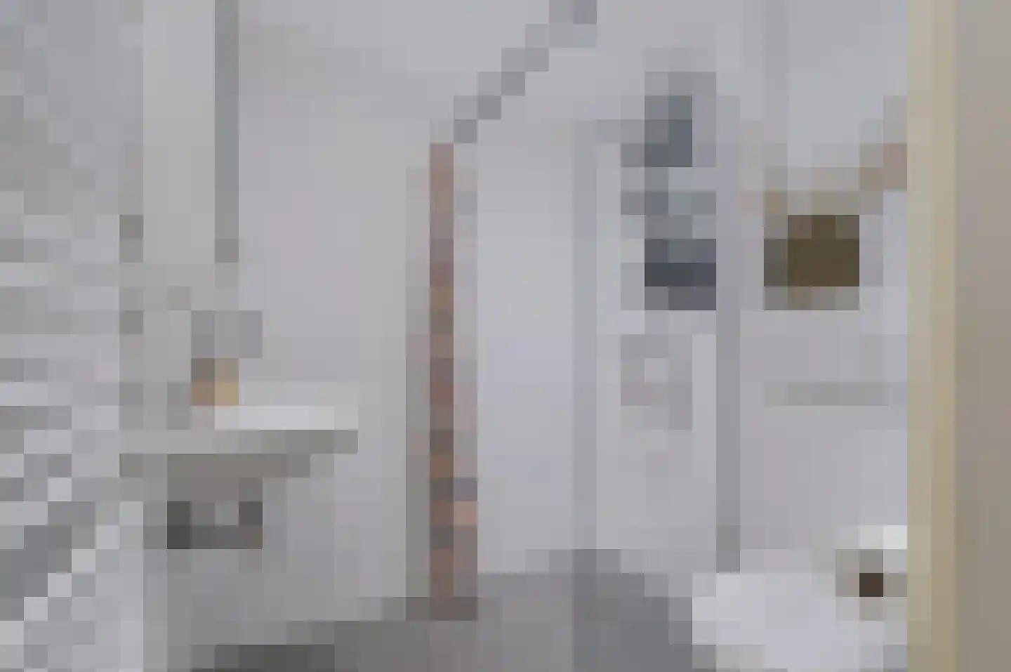 Aart van der Leeuwstraat 14 Hengelo thumbnail 8
