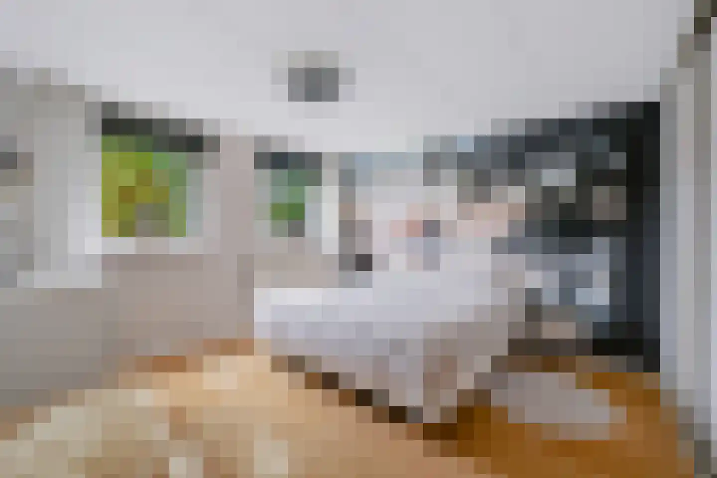 Aart van der Leeuwstraat 14 Hengelo thumbnail 9
