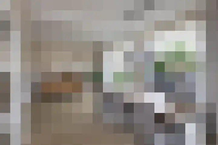 Aart van der Leeuwstraat 15 Hengelo thumbnail 12