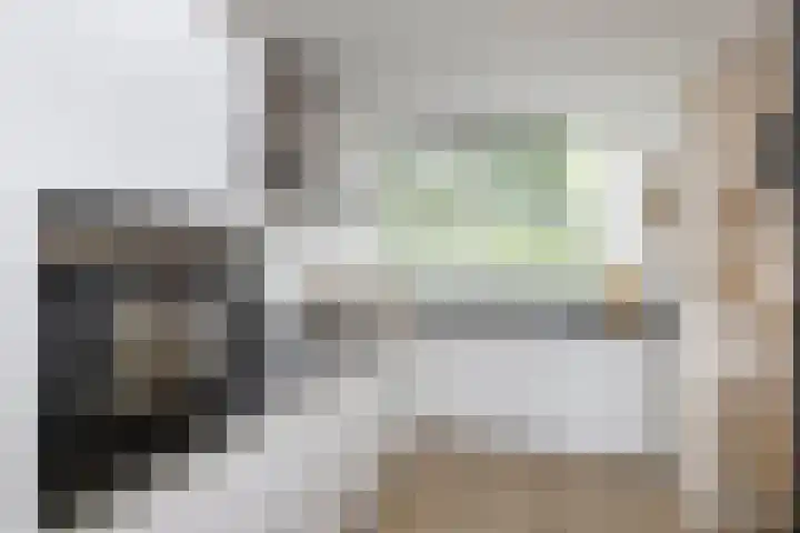 Aart van der Leeuwstraat 15 Hengelo thumbnail 13