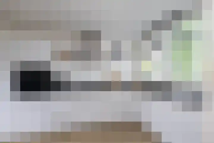 Aart van der Leeuwstraat 15 Hengelo thumbnail 14