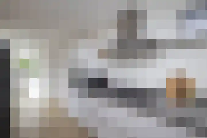 Aart van der Leeuwstraat 15 Hengelo thumbnail 15