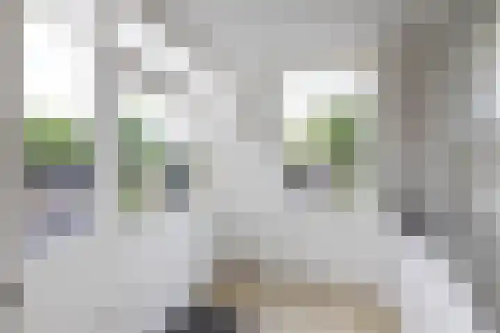 Aart van der Leeuwstraat 15 Hengelo thumbnail 16