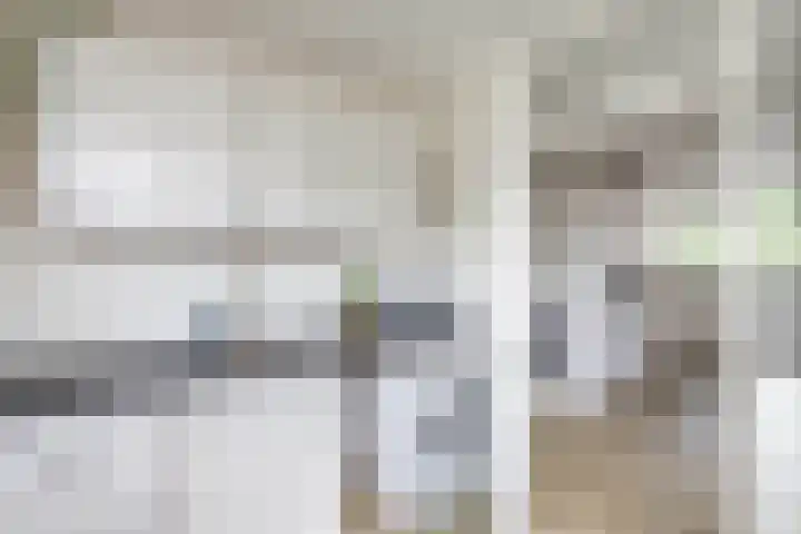 Aart van der Leeuwstraat 15 Hengelo thumbnail 17