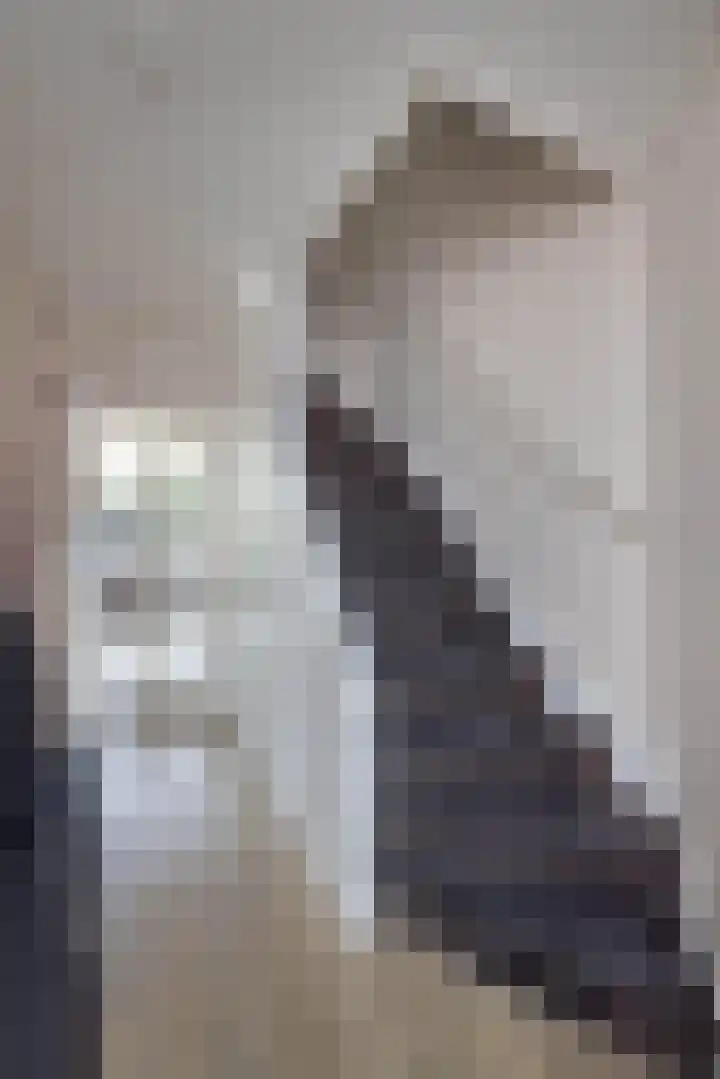 Aart van der Leeuwstraat 15 Hengelo thumbnail 18