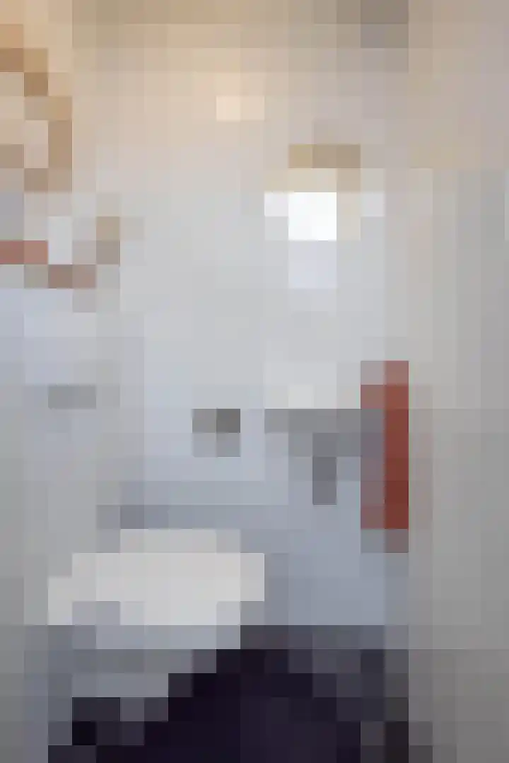 Aart van der Leeuwstraat 15 Hengelo thumbnail 19