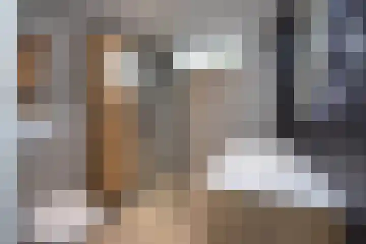 Aart van der Leeuwstraat 15 Hengelo thumbnail 23
