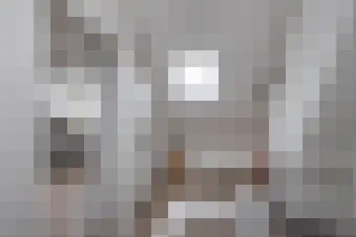 Aart van der Leeuwstraat 15 Hengelo thumbnail 27