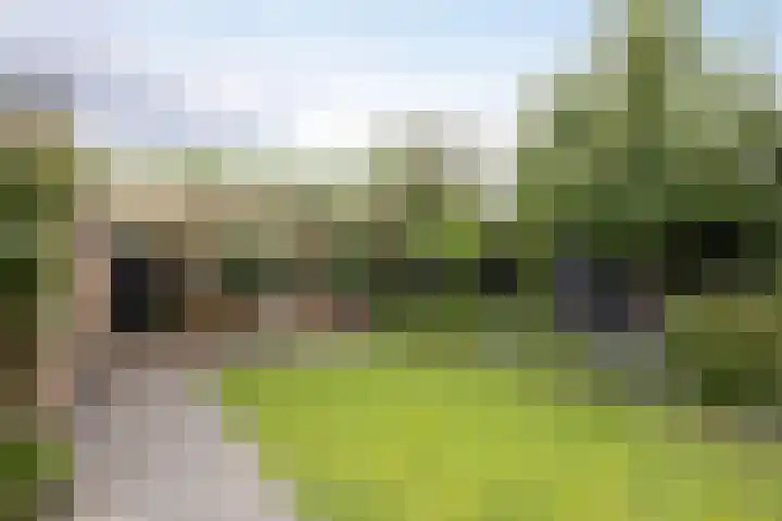 Aart van der Leeuwstraat 15 Hengelo thumbnail 31