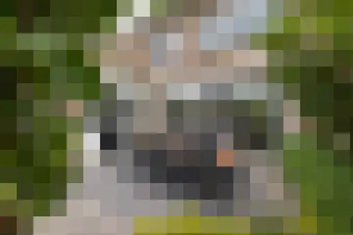 Aart van der Leeuwstraat 15 Hengelo thumbnail 33