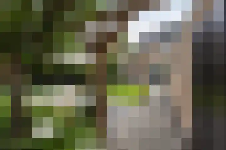 Aart van der Leeuwstraat 15 Hengelo thumbnail 35