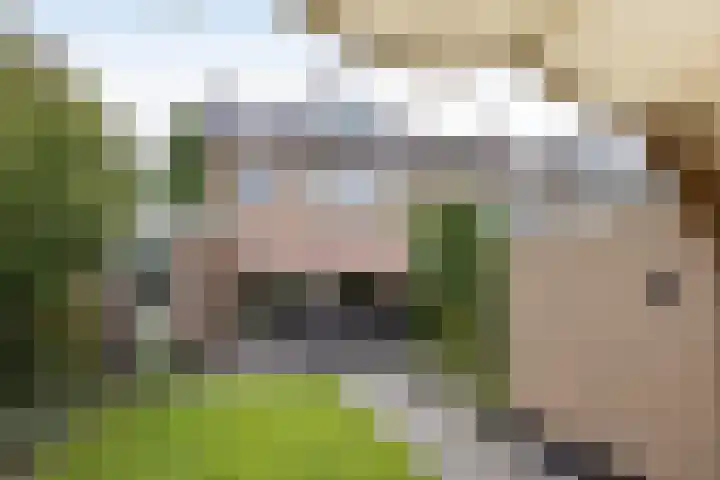 Aart van der Leeuwstraat 15 Hengelo thumbnail 39