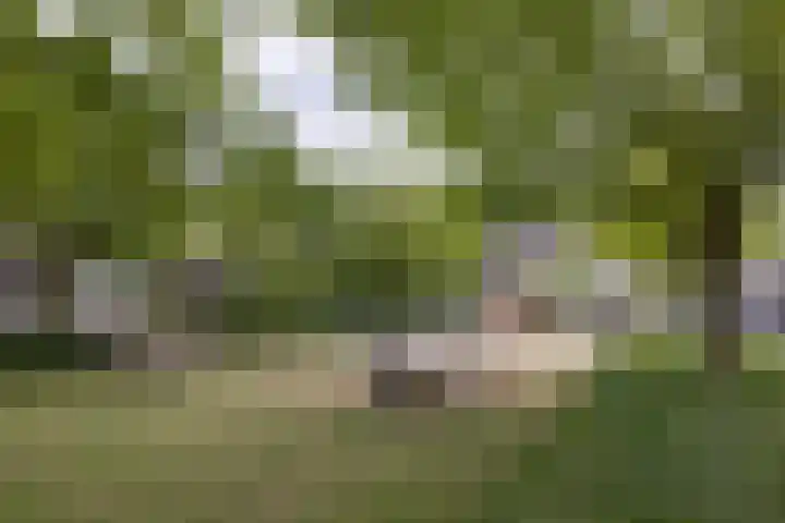Aart van der Leeuwstraat 15 Hengelo thumbnail 45