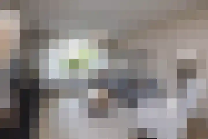 Aart van der Leeuwstraat 15 Hengelo thumbnail 7