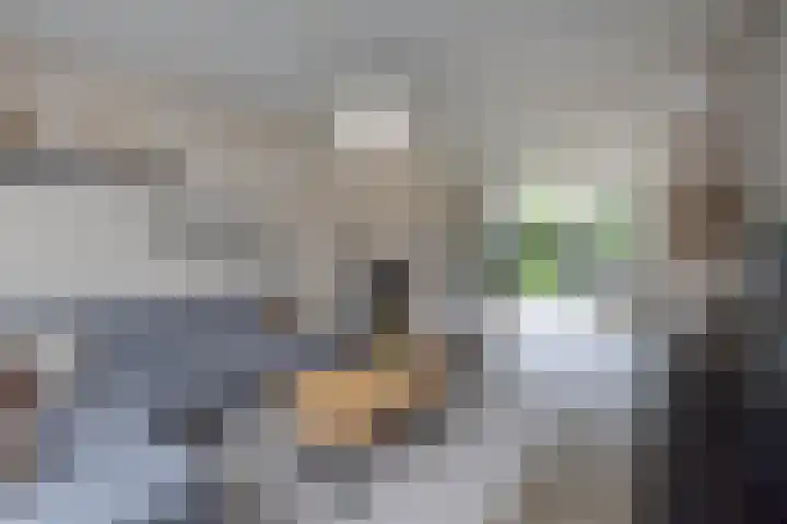 Aart van der Leeuwstraat 15 Hengelo thumbnail 8