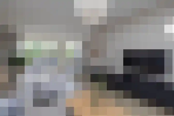Aart van der Leeuwstraat 15 Hengelo thumbnail 9