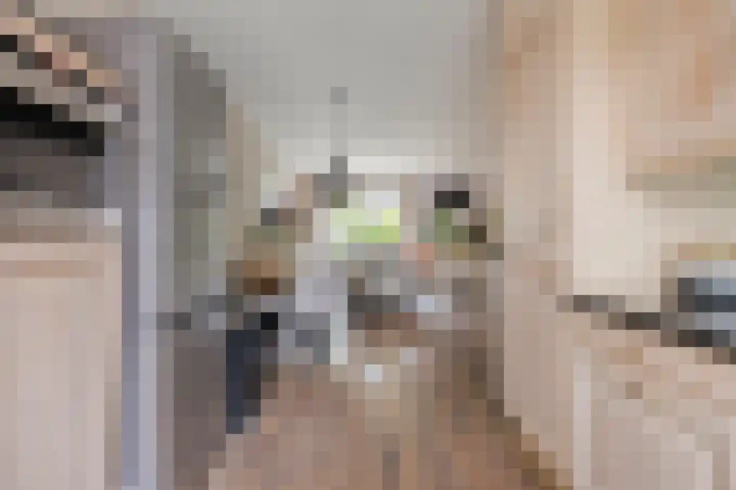 Aart van der Leeuwstraat 15 Rotterdam thumbnail 11