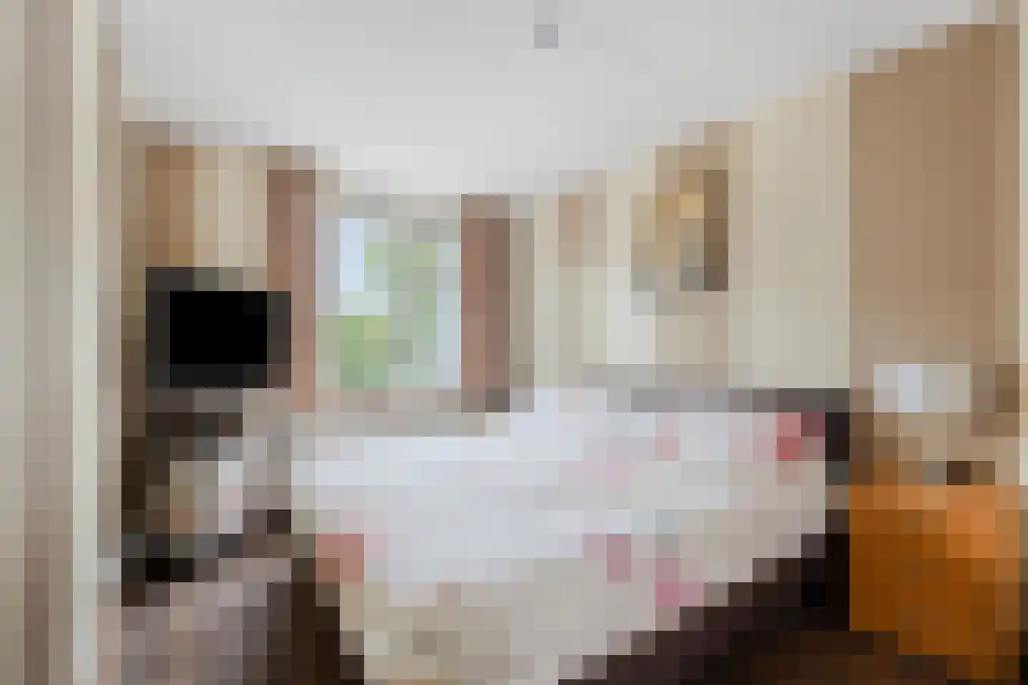 Aart van der Leeuwstraat 15 Rotterdam thumbnail 13