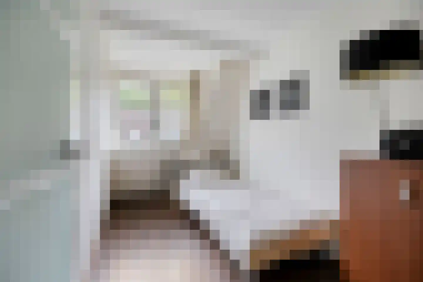 Aart van der Leeuwstraat 15 Rotterdam thumbnail 17