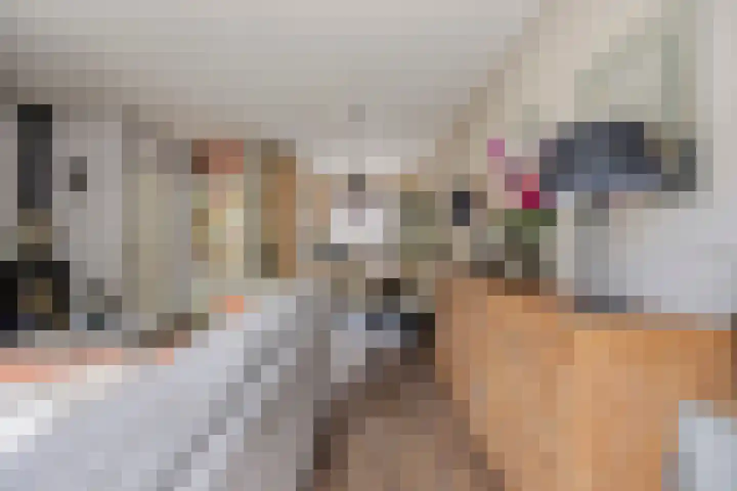 Aart van der Leeuwstraat 15 Rotterdam thumbnail 7