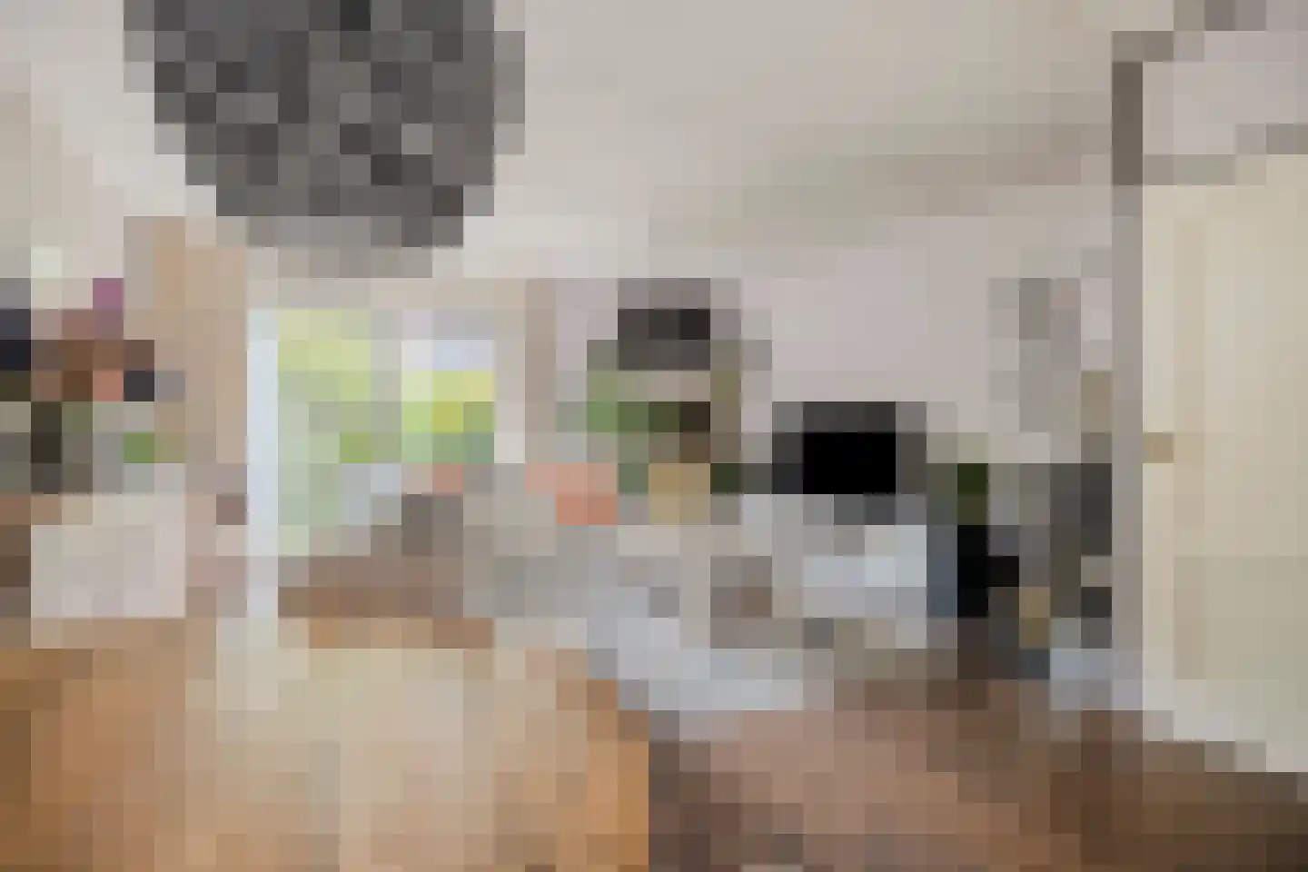 Aart van der Leeuwstraat 15 Rotterdam thumbnail 8