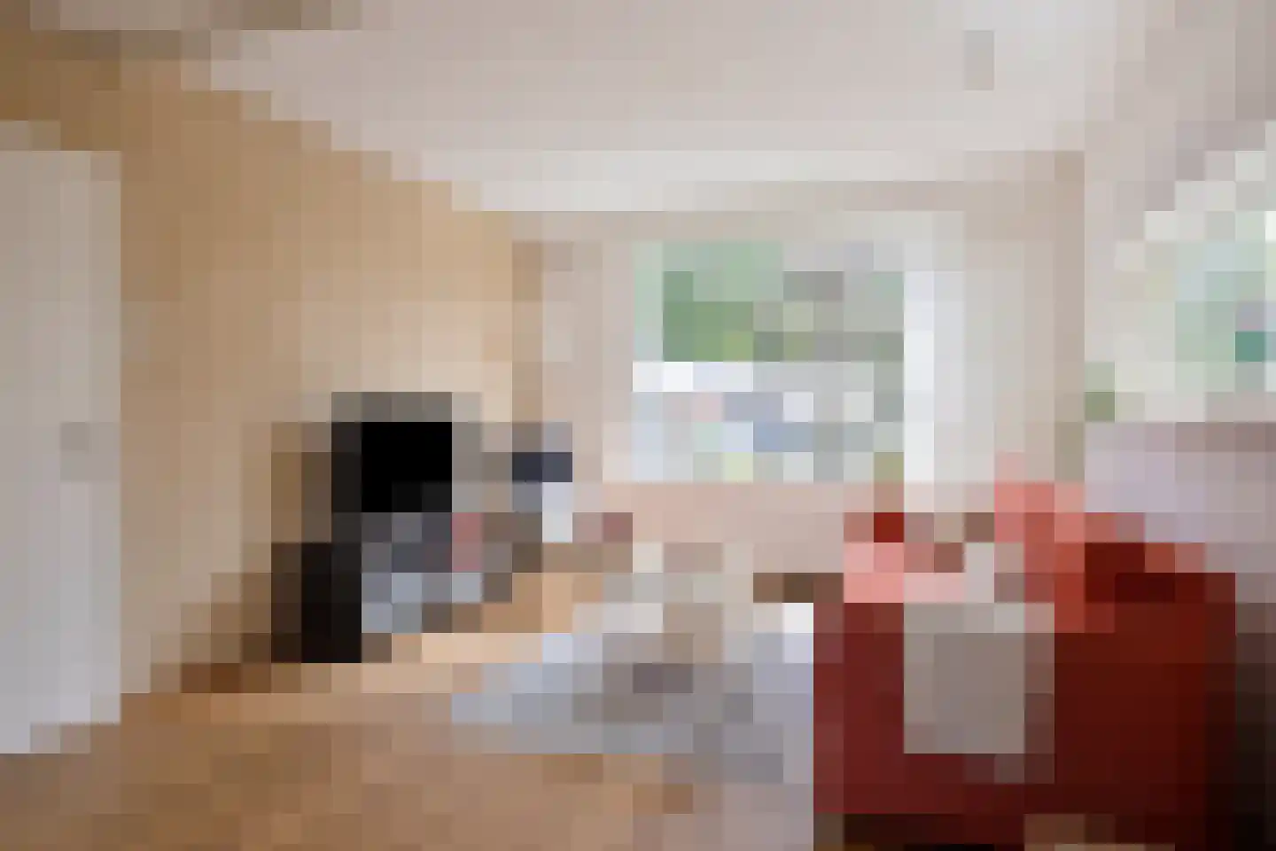 Aart van der Leeuwstraat 17 Hengelo thumbnail 11