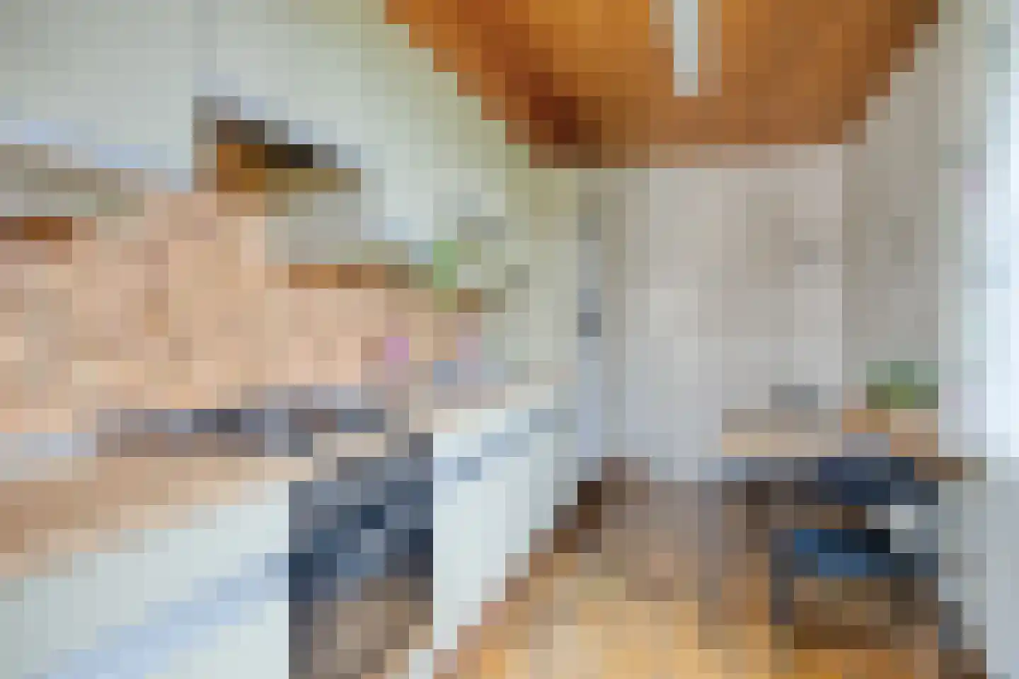 Aart van der Leeuwstraat 17 Hengelo thumbnail 19