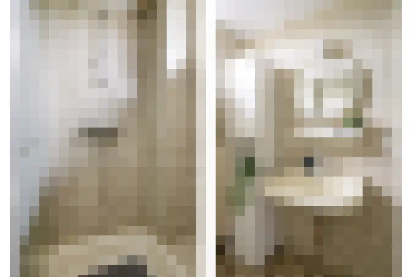 Aart van der Leeuwstraat 17 Hengelo thumbnail 28