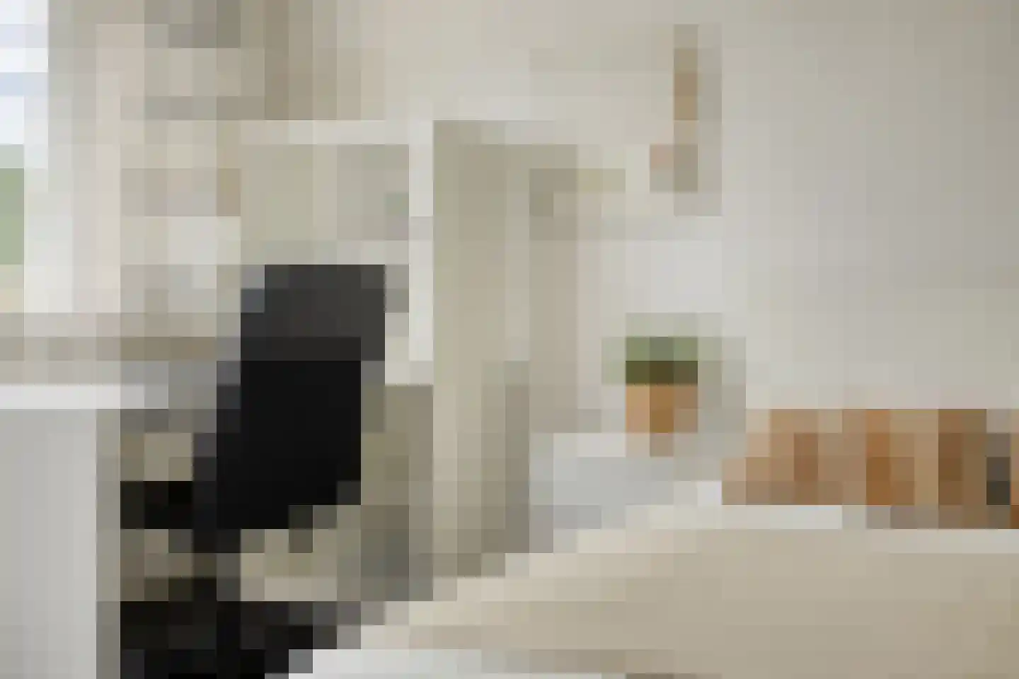 Aart van der Leeuwstraat 17 Hengelo thumbnail 30